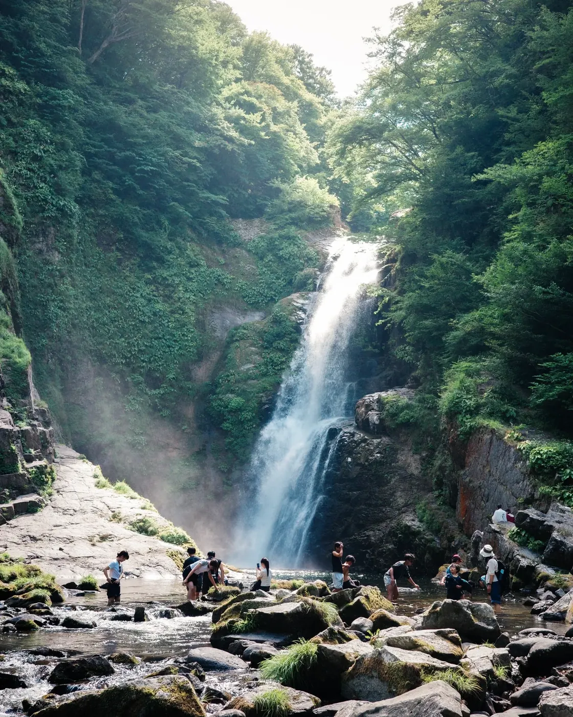 緑に囲まれた滝と水辺にいる人々